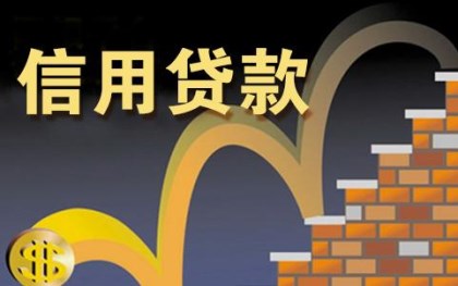 个人贷款调查包括什么内容