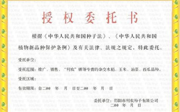 最新的单位对个人委托书范本
