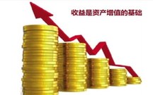 土地使用权是净资产吗