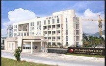 有限公司申请破产流程怎么走