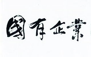 政策