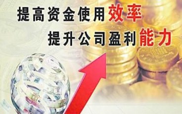 简单财务情况说明书范文