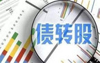 债转股协议的主要内容