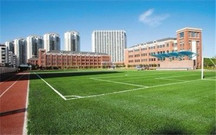 双学区房是什么意思