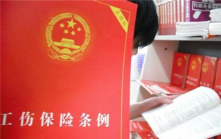条例全文