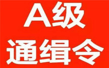 网上通缉包含哪些内容