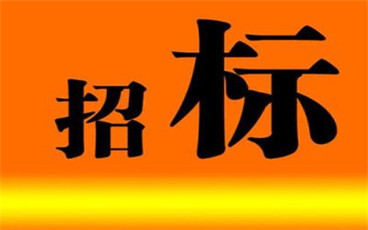 招标书格式有什么要求