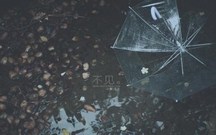 失踪多长时间可以认定为死亡