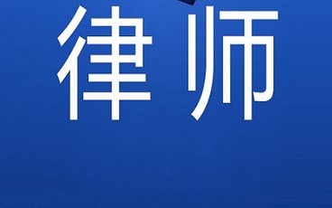 什么是诉讼律师