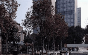 如何成立有限责任公司