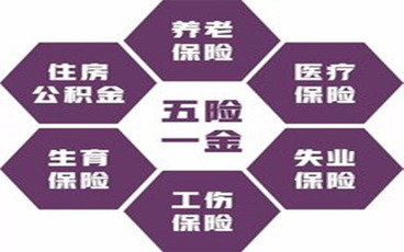 个人买养老保险需要哪些手续