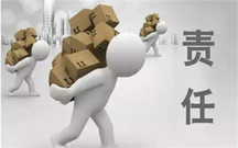 执行董事承担什么责任