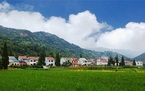 宅基地转让的法律规定