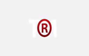商标转让的生效要件是什么