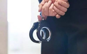 最新刑事取保候审申请书