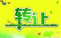 支票可以连续背书转让吗