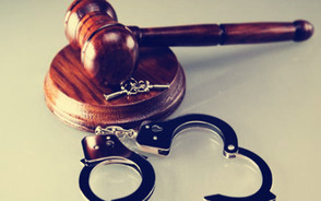 单位逃税罪追究法人的刑事责任吗