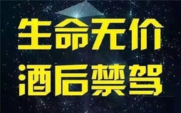 无证驾驶与酒驾哪个处罚更重