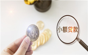 汽车抵押给小额贷款公司还不上怎么办？