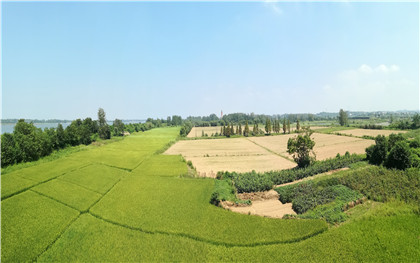 村里的土地承包合同能公证吗