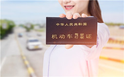 C5驾照都能买哪款车型?