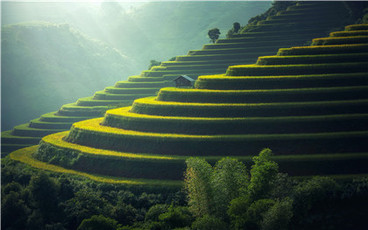 土地流转新方式有哪些