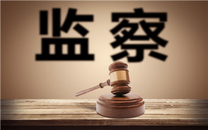 起诉内部行政监察机关行为属于人民法院的审查范畴吗