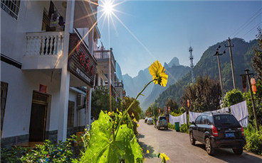 2022最新土地确权合同范本