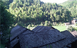 宅基地没有确权会怎样