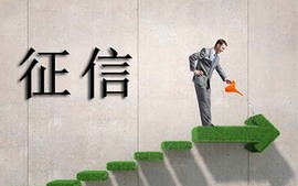 征信