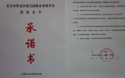 公司对外承诺书