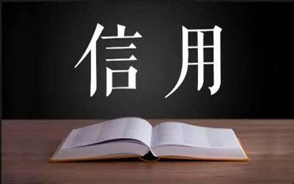 个人征信不良记录