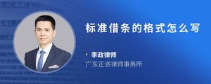 标准借条的格式怎么写