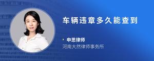 车辆违章多久能查到