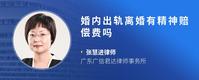 婚内出轨离婚有精神赔偿费吗