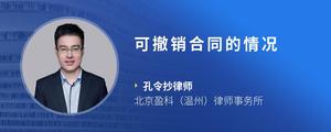 可撤销合同的情况