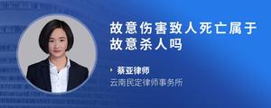 故意伤害致人死亡属于故意杀人吗