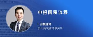 申报国税流程
