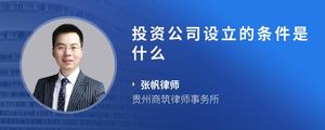 投资公司设立的条件是什么