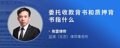 委托收款背书和质押背书指什么