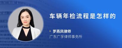 车辆年检流程是怎样的