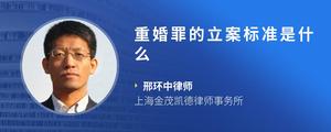 重婚罪的立案标准是什么