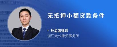 无抵押小额贷款条件