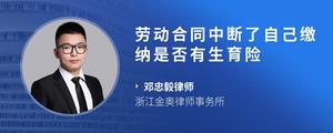 劳动合同中断了自己缴纳是否有生育险