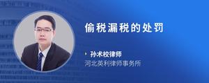 偷税漏税的处罚