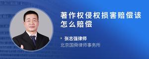 著作权侵权损害赔偿该怎么赔偿