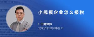 小规模企业怎么报税