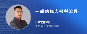 一般纳税人报税流程