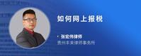 如何网上报税