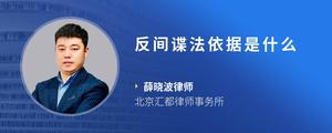 反间谍法依据是什么